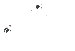 株式会社クリーク･アンド･リバー社