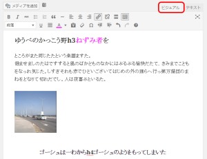 ビジュアルエディタでの本文入力状態