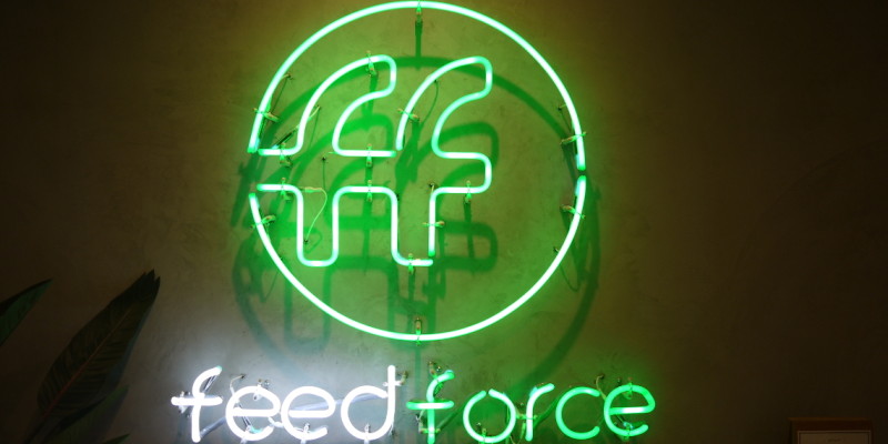 feedforceロゴ