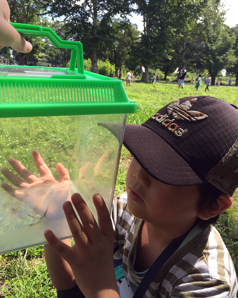 この夏は息子と地域の虫取りイベントに参加したり、学童ではまったプラバンやアイロンビーズをやったりしました