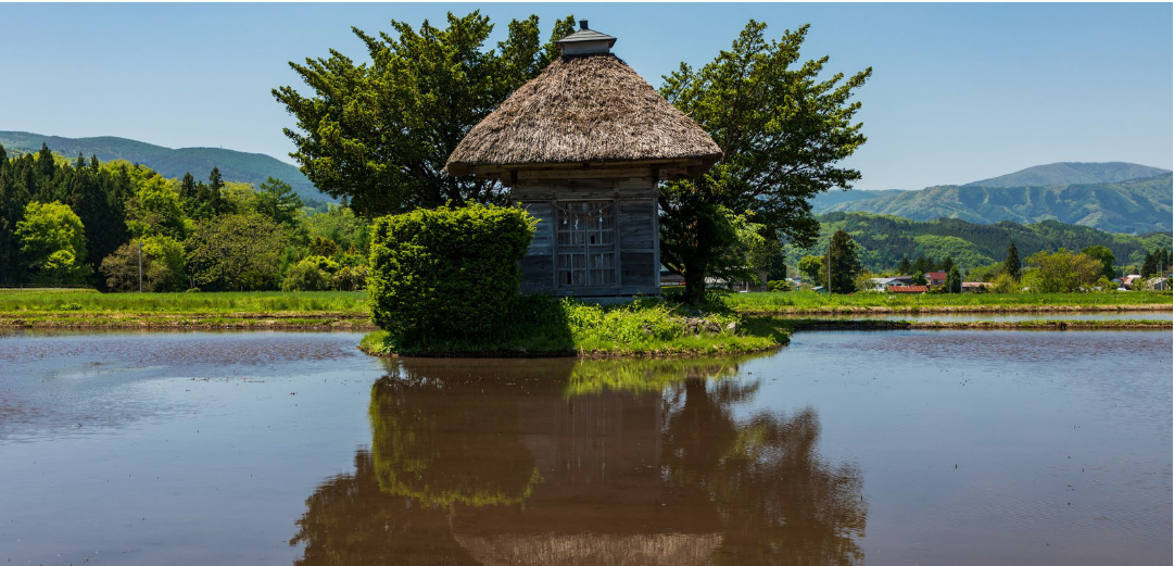 藁葺屋根