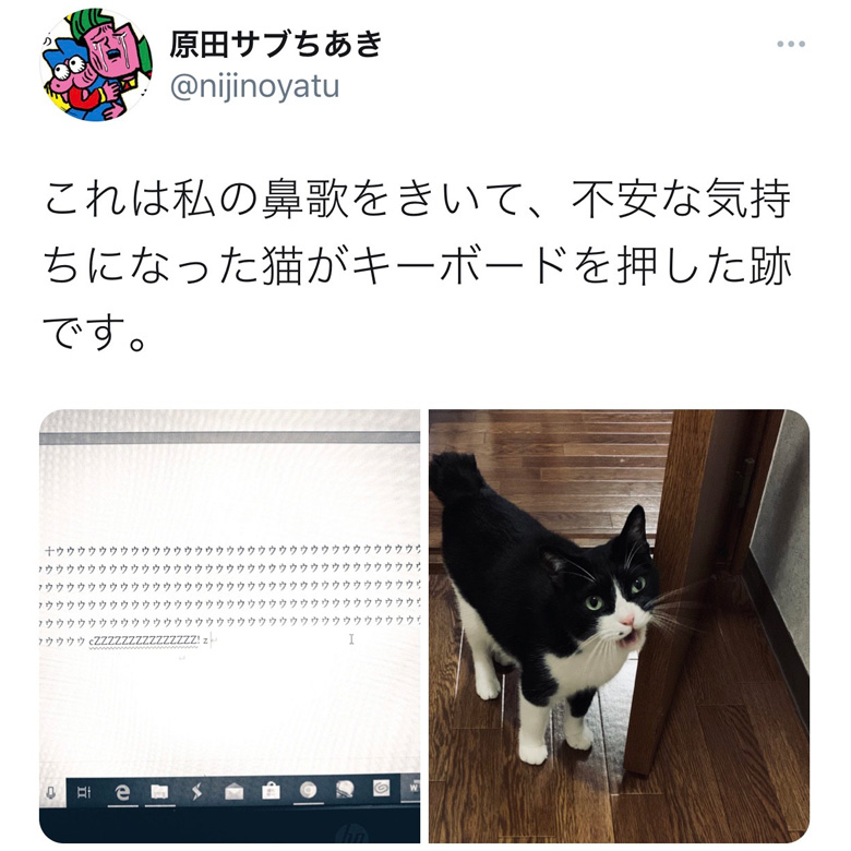 原田ちあき 愛猫