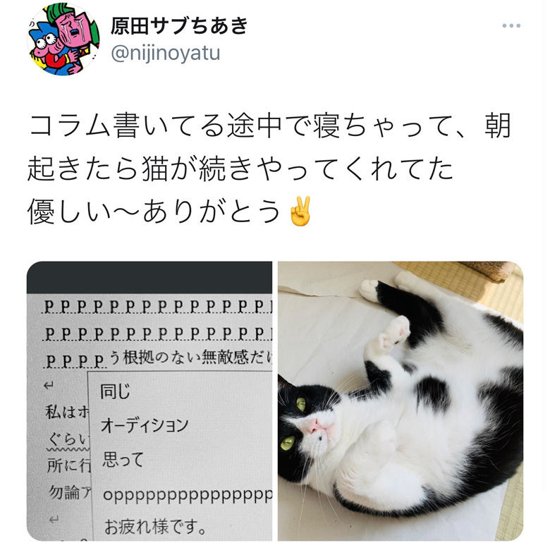 原田ちあきの愛猫