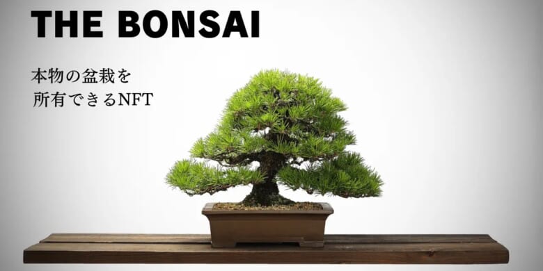 だれでも高級盆栽のオーナーになれる”支援型NFTプロジェクト”が始動