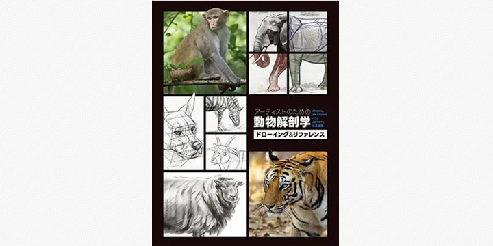 動物の形を理解する鍵　アーティスト必携の新刊登場