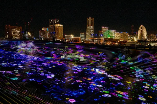 「花」をテーマに光の横浜広がる　ヨルノヨ2025開幕