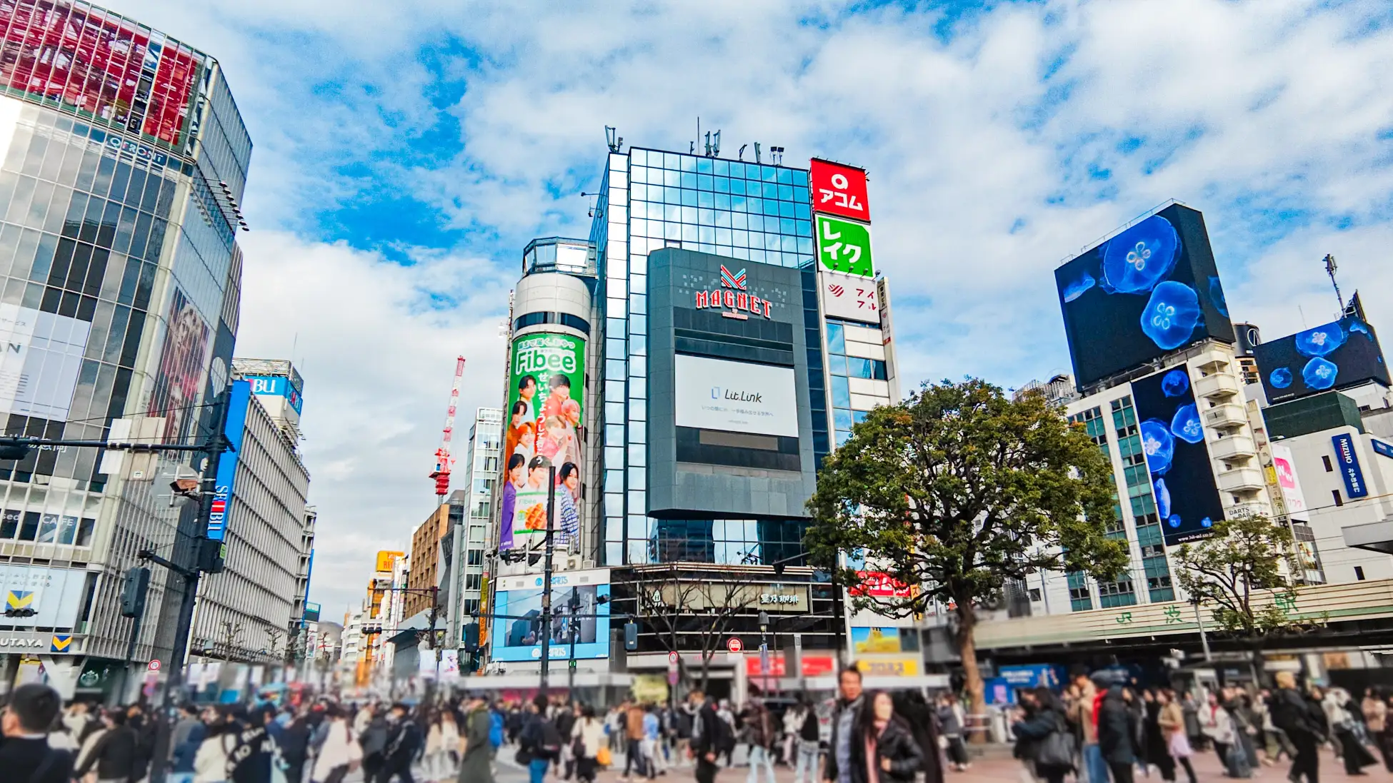 若手クリエイターの夢、渋谷の街頭ビジョンに登場