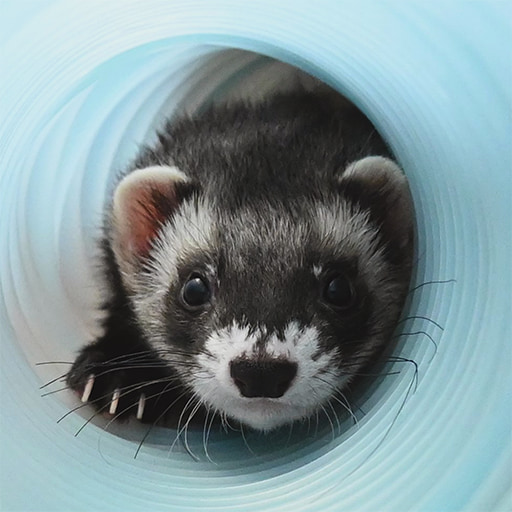 ■田中 利佳写真